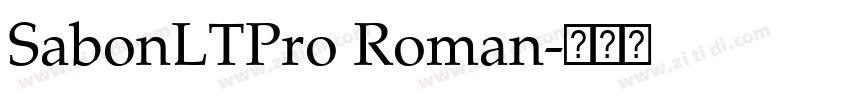 SabonLTPro Roman字体转换 SabonLTPro Roman字体转换